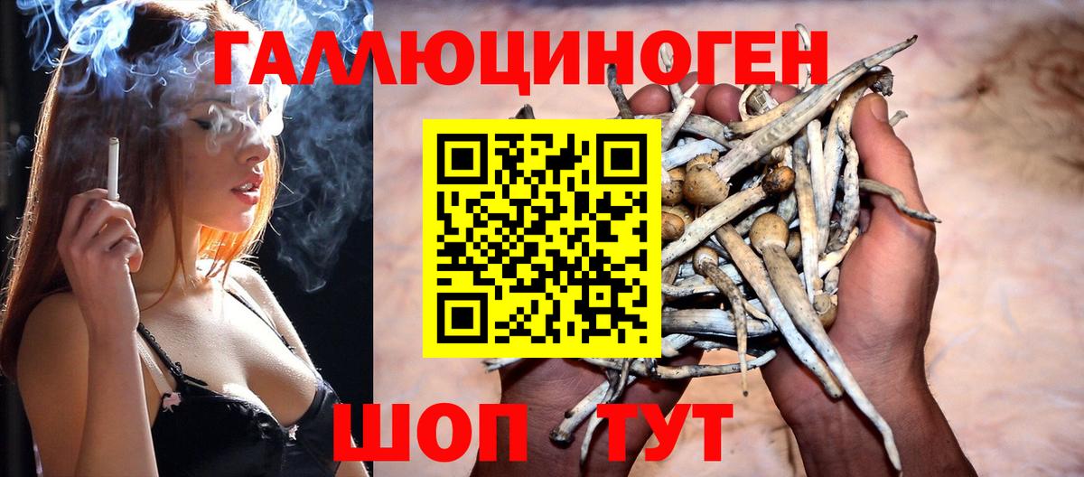наркота  Галлюциногенные грибы MAGIC MUSHROOMS  Вход с VPN  Галлюциногенные грибы Cubensis  Фурманов 